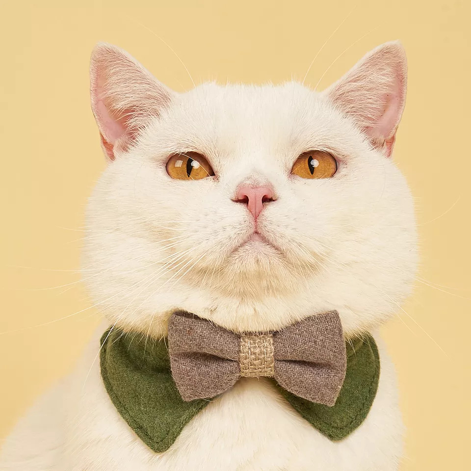 Fleece Pet Bow Tie with 3 Colors Option and Small MOQ