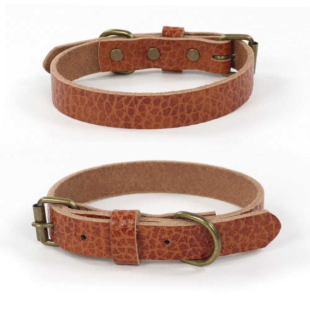 Leather Dog Collar 4