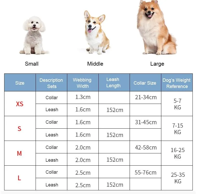 Colorful Pet Supplies