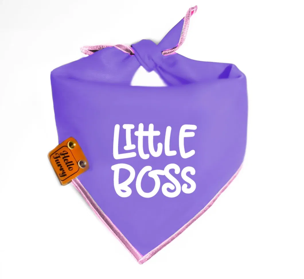 Custom Polyester Triangle Pet Bandana