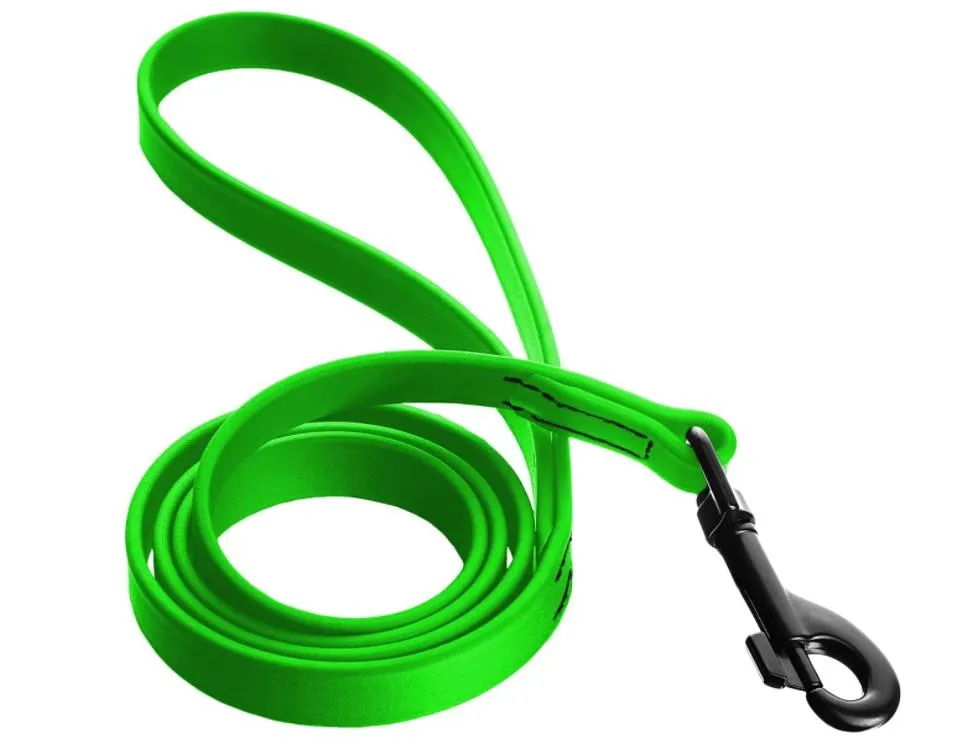 Dog Leash Detail 6