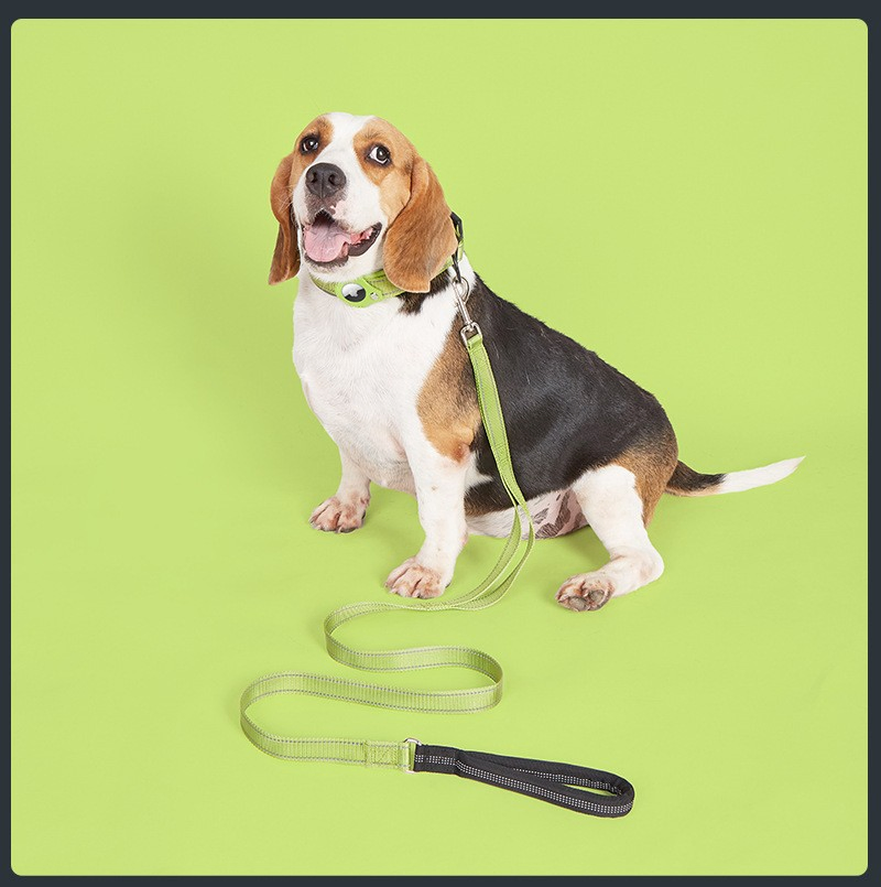 Dog Walking Chest Strap with Durable Leash for Large Dogs