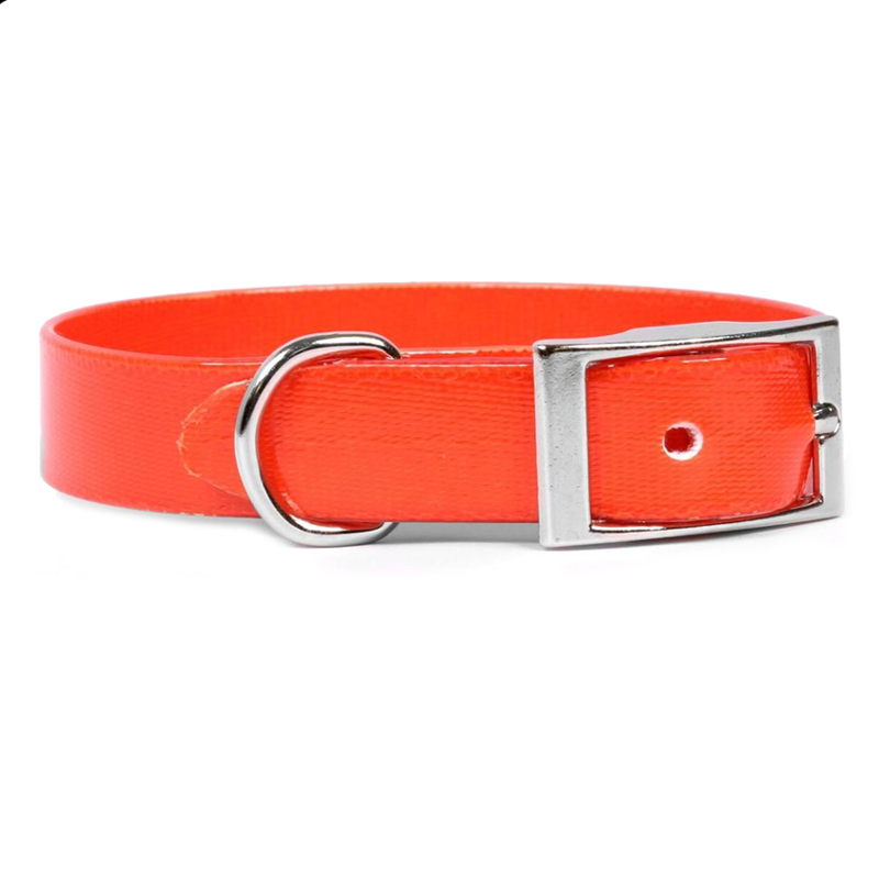 Reflective Water Proof Pet Collar with Pin Buckle