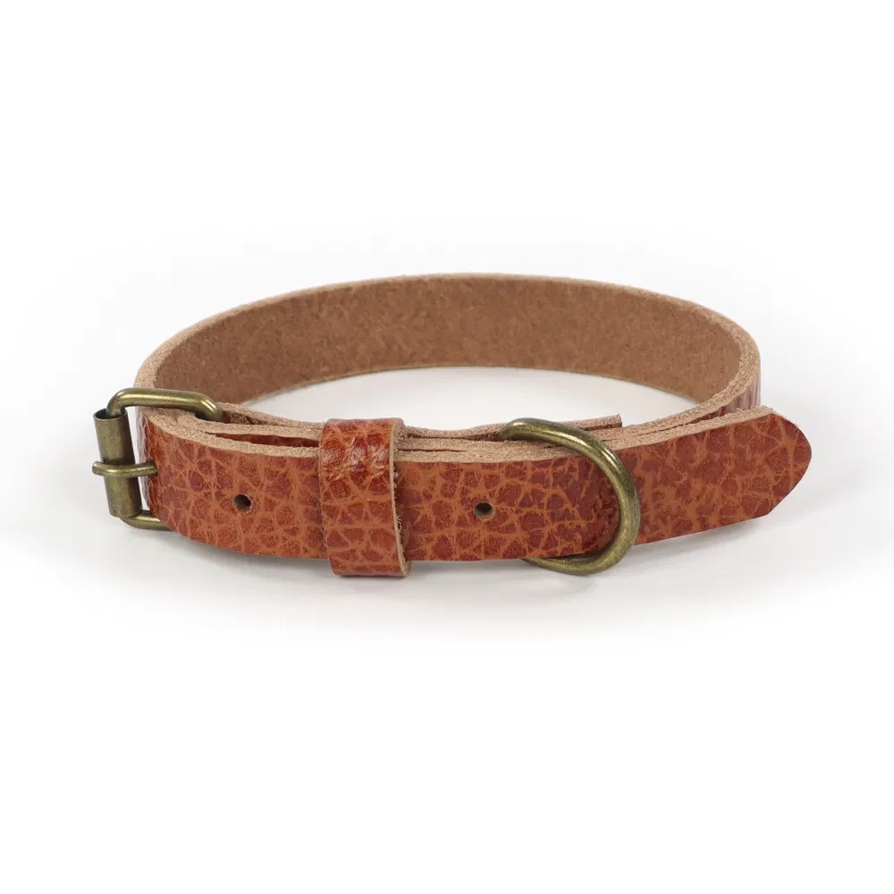 Leather Dog Collar 1
