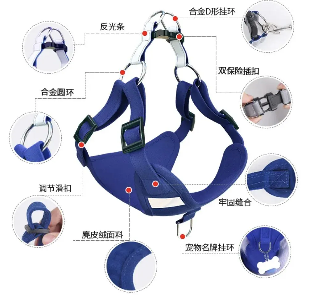 Pet Harness Showcase 2