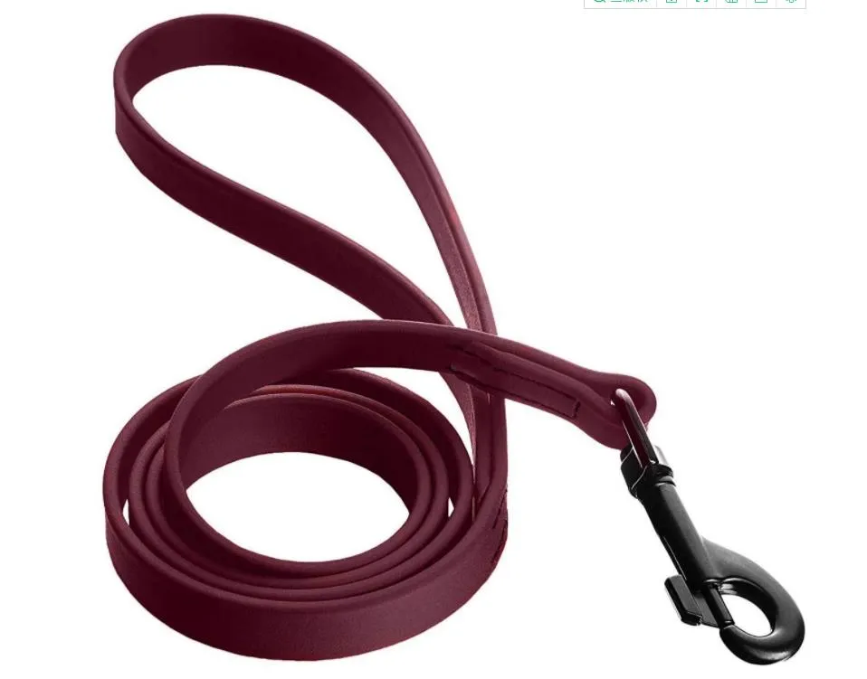Dog Leash Detail 4