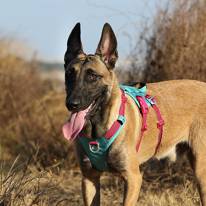 Pet Dog Chest Strap Double H Anti-Escape Blast Reflective Function