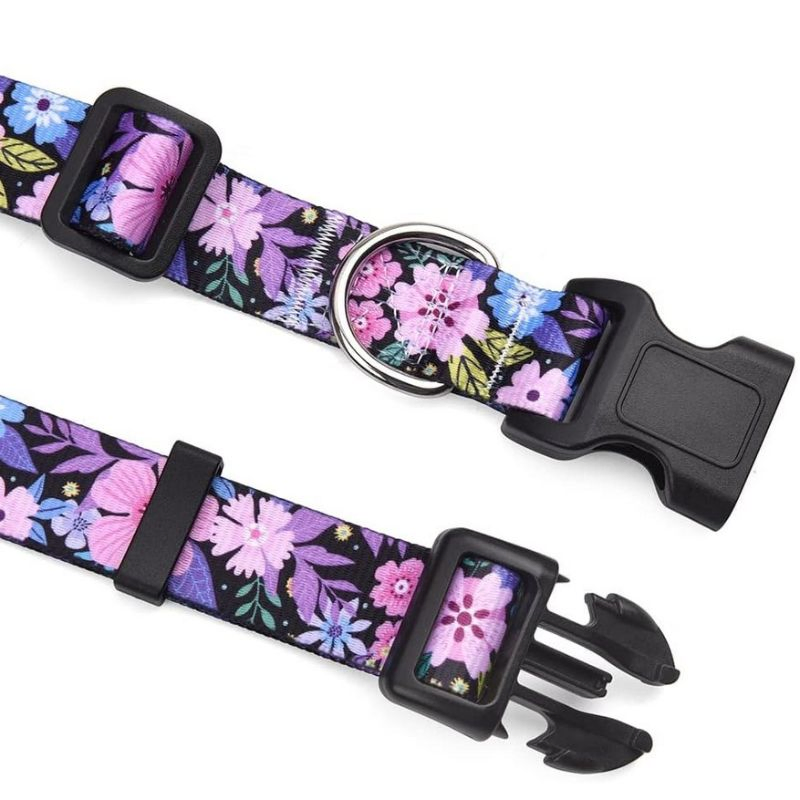 Top-Grade Handmade Training Special Design Durable Adjustable Personalized Breakable Soft Retractable Air-Tag Dog Collar with Release Buckle for Medium Pet Dogs