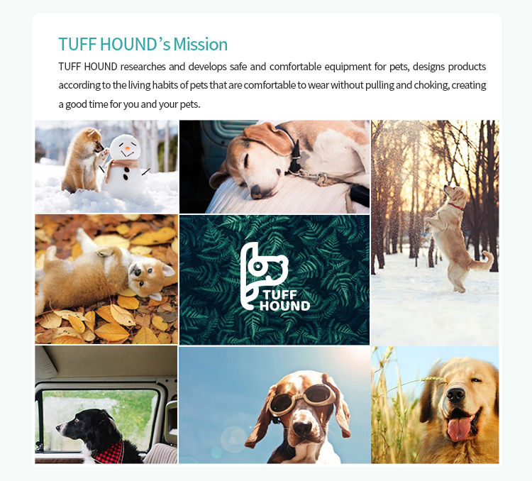 China Wholesale Factory Custom Logo Retractable Reflecttive Pet Dog Training Leads Premium Rope Collar Polyester/Nylon Hook Dog Leash