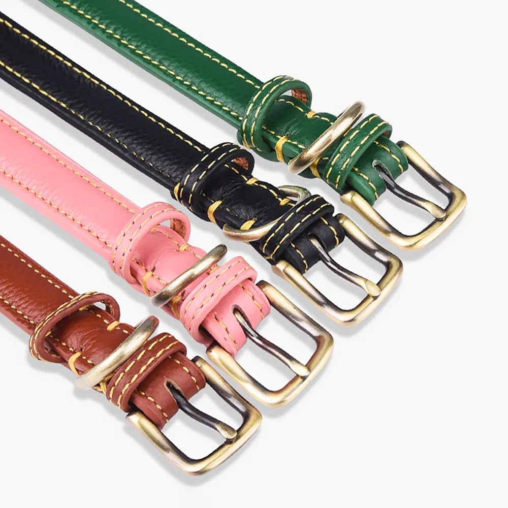 Training Collar Detail 1