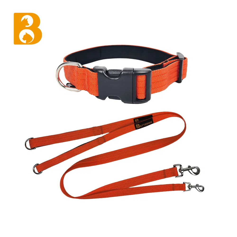 Fashion Ins Matching Nylon Dog Collar with Leash for training Travel Walking Pet Dog Collar Leads
