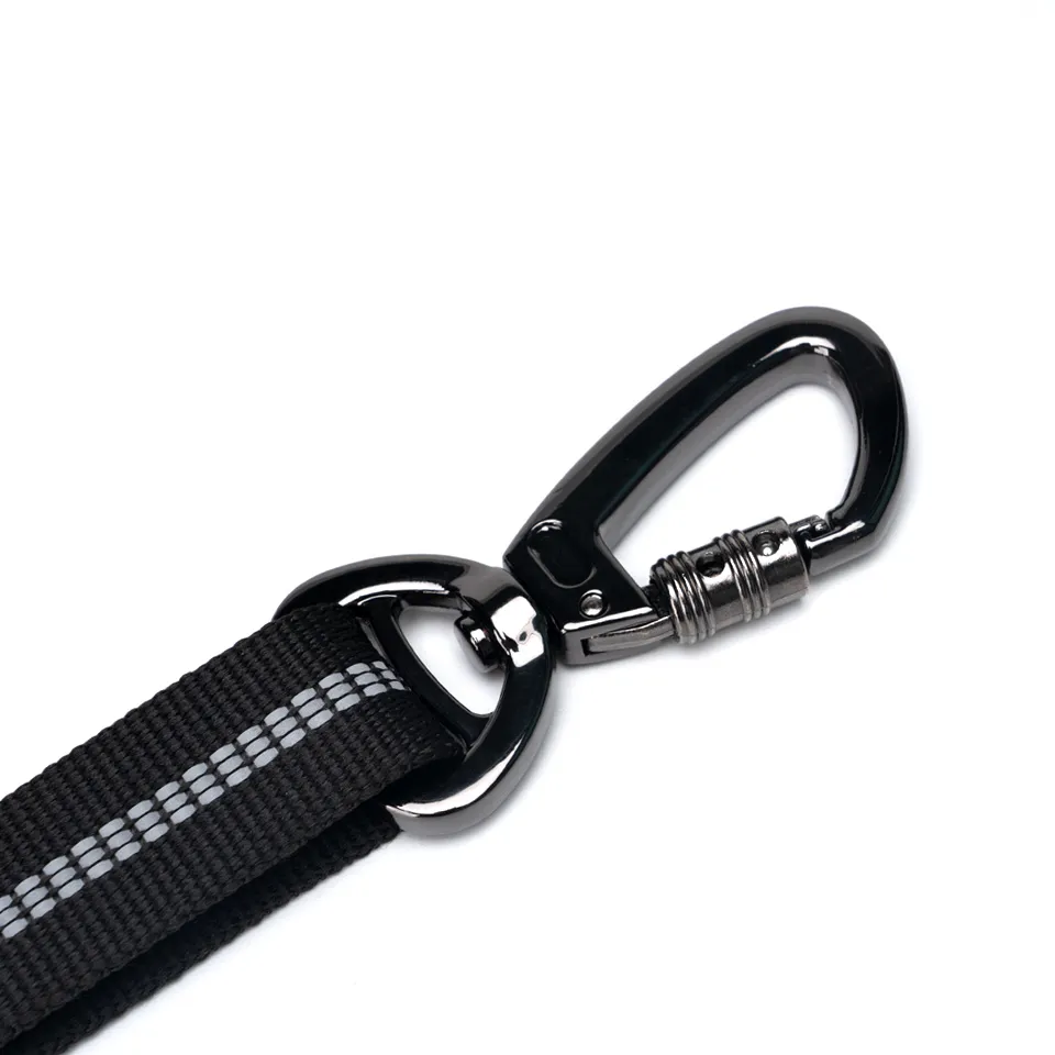 Buffer Retractable Leash