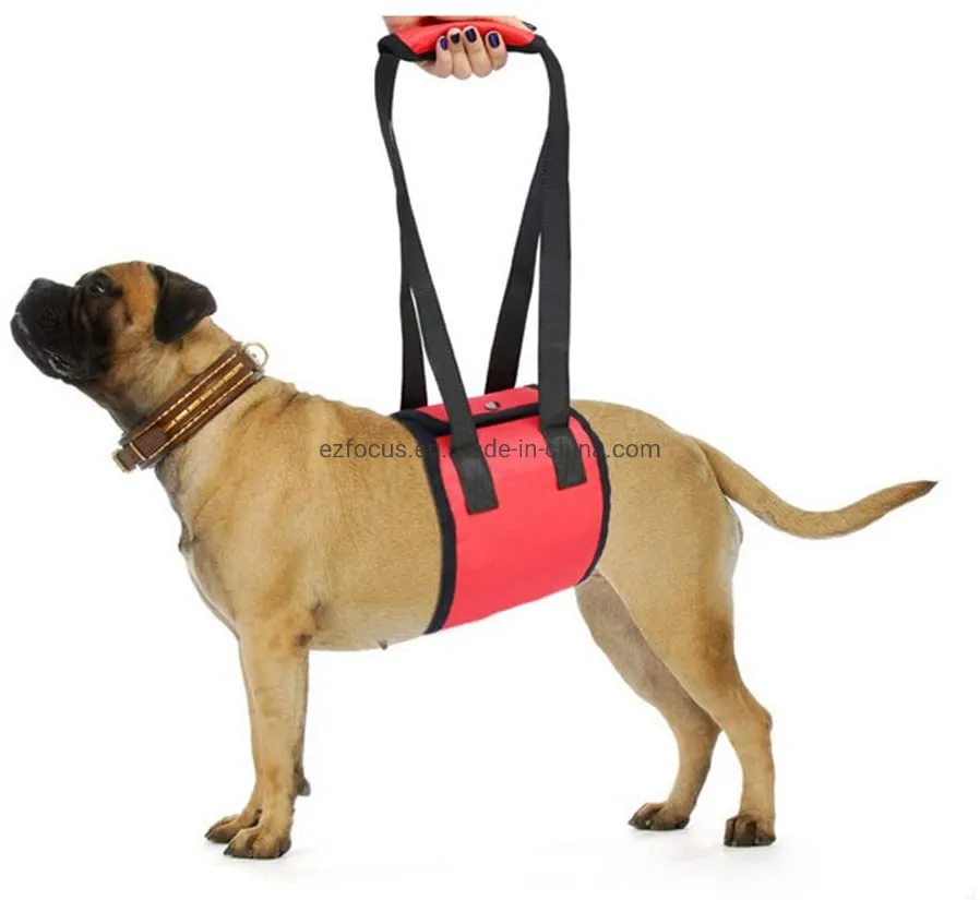 Dog Lift Support Harness 1