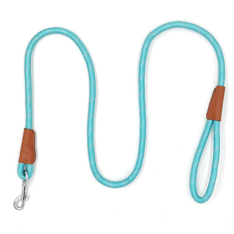 Stylish Lightweight Retractable Pet Leash for Pet Training