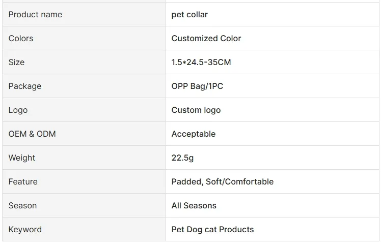 Safety Buckle Detail