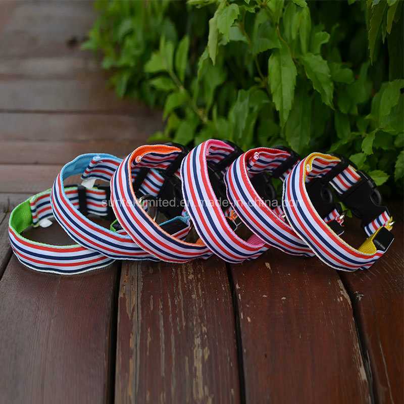 Adjustable LED Flashing Safety USB Rechargeable Colorful Pet Dog Collar with Leash