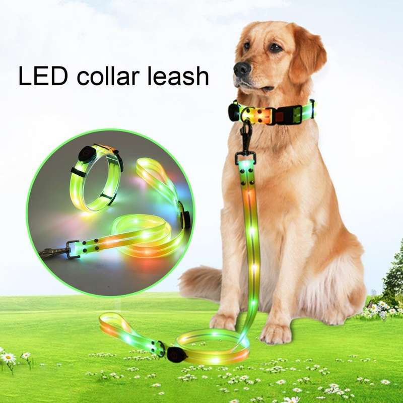 Hot Sale LED Pet Collar Rechargeable Collar for Dogs Night Safety