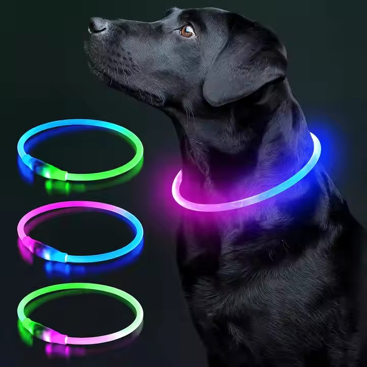 Custom USB Charging Pet Safety Light Silicone Waterproof LED Dog Collar (CFPTS24001)