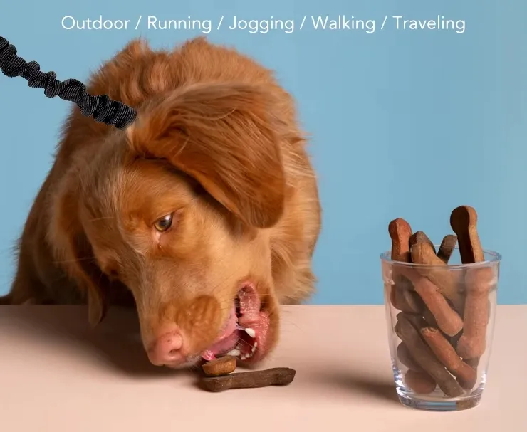 Hands-Free Pet Leash 2