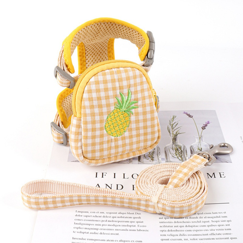 Green Color Small Dog Teddy Outdoor Backpack Bag Pet Accessories Leash Harness Supplier