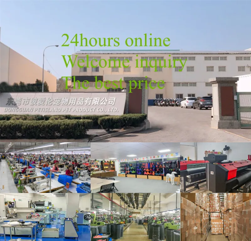 Tactical Dog Collar Main View