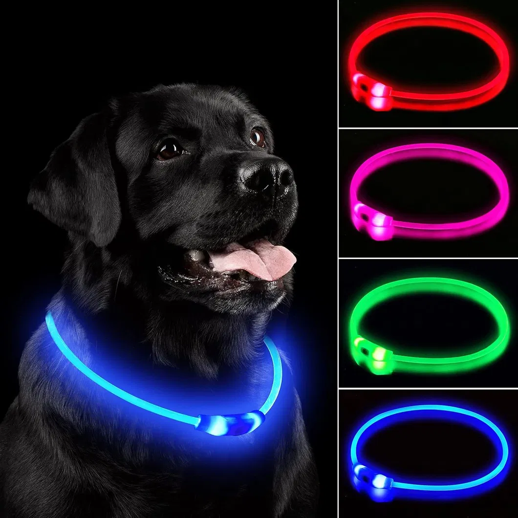 LED Dog Collar 6