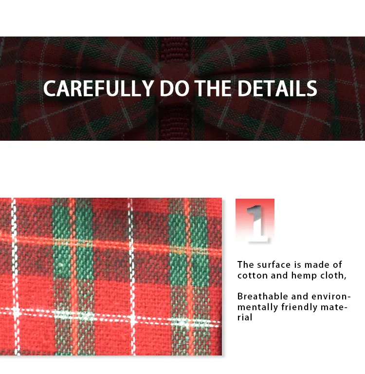 Walking Kitten Harness