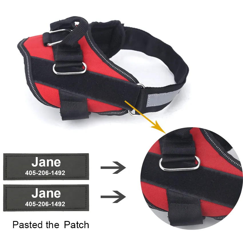 Pet Harness