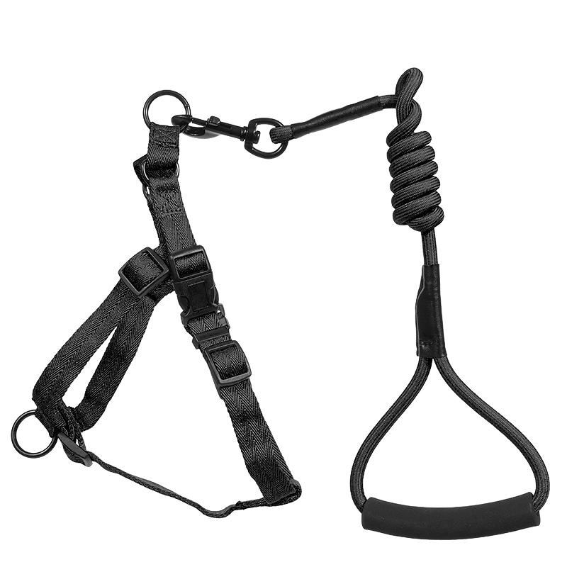 Manufacturers Wholesale Custom Pet Nylon Webbing Adjustable Metal Chain Small Nylon Backpack Dog Harness Set