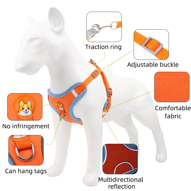 Pet Harness Photo 3