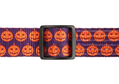 Adjustable Regulator