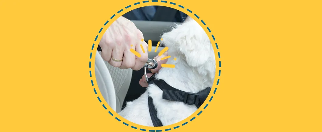 Pet Seat Belt Detail 3