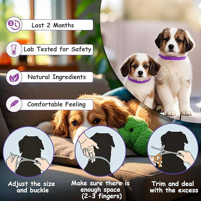 Custom Logo Free Sample Natural Plant Essential Oil Lavender Oil Dog Cat Calming Collar for Pet