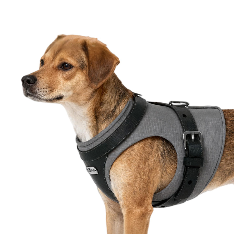 OEM/ODM Custom Outdoor Adventure Harness with Easy Buckle for Your Pet