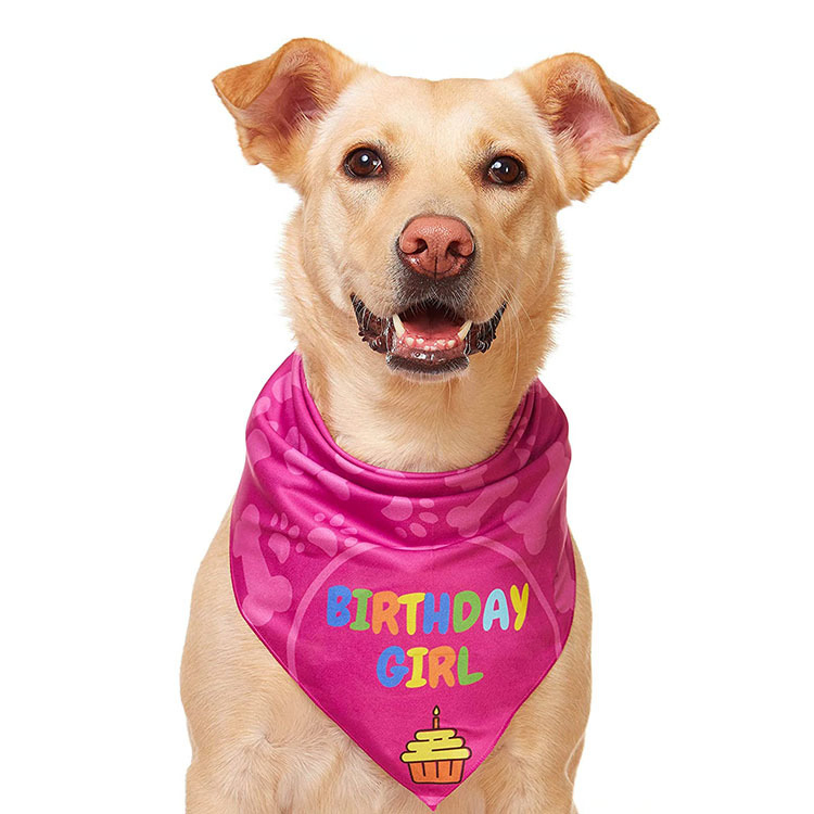 Wholesale Dog Bandana Custom Cotton Dog Bibs Saliva Cloth Pet Scarf Birthday Bandana