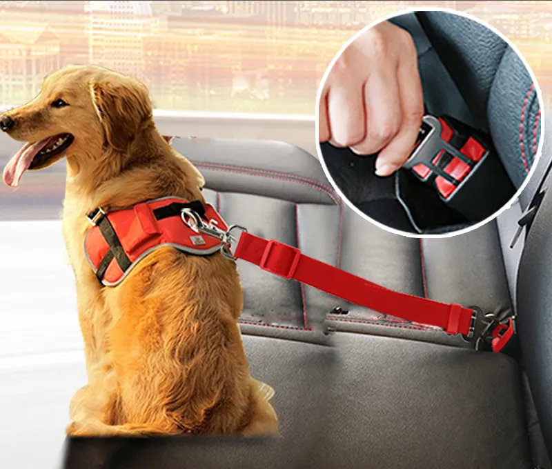 Pet Safety Belt 5