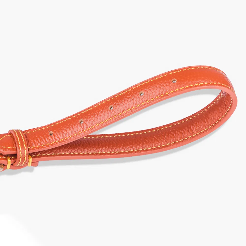 Leather Dog Training Collar for Pet Products