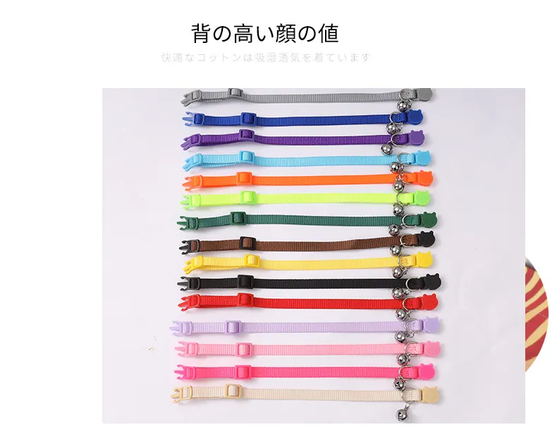 Pet Collar Highlight