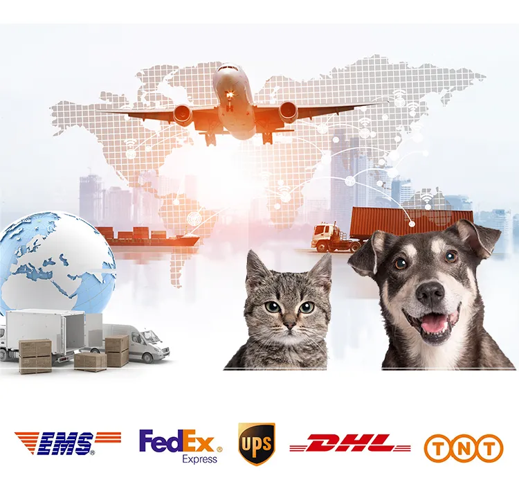 Automatic Retractable Dog Leash 9