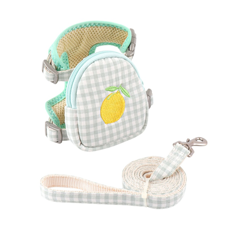 Blue Color Outdoor Backpack Bag Pet Accessories Cat Dog Leash Harness for Small Dog Teddy