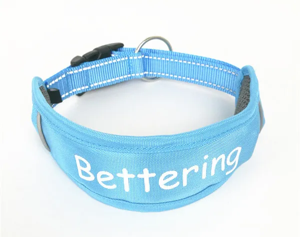 Blue Reflective Pet Collar