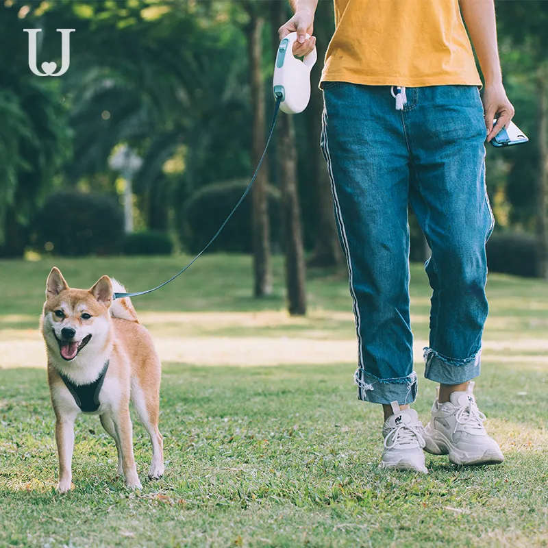 Retractable Dog Leash Show 3