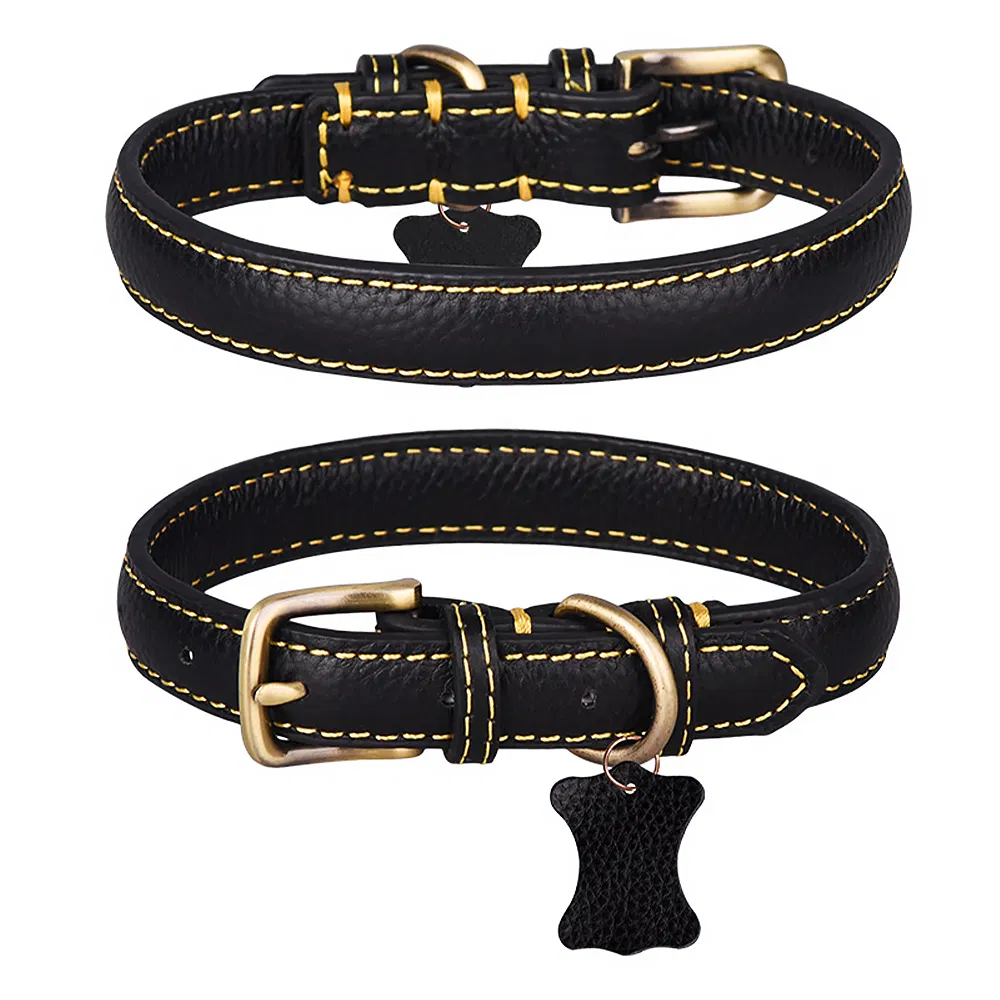 Training Collar Detail 8