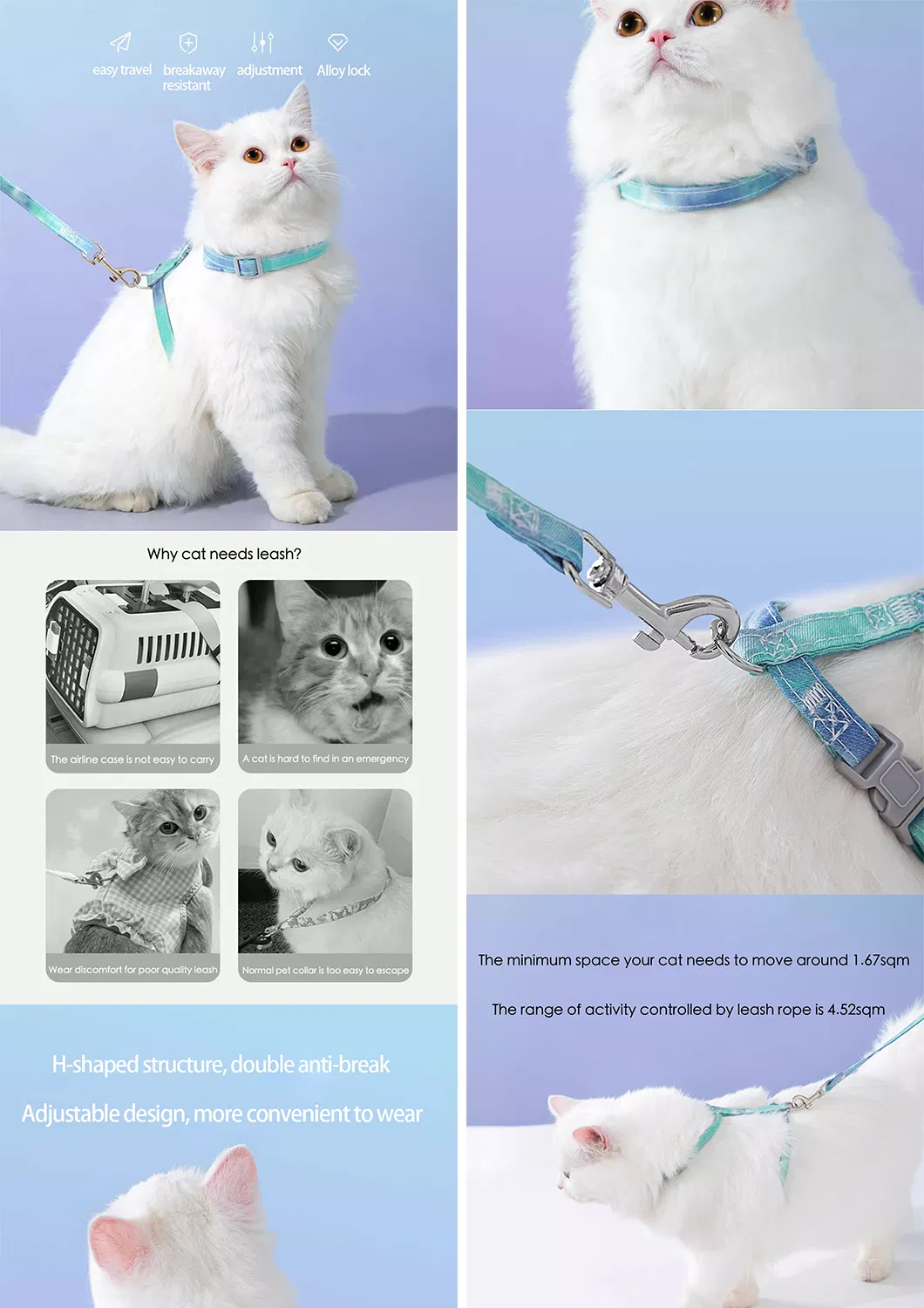 Pet Collar and Leash Kit