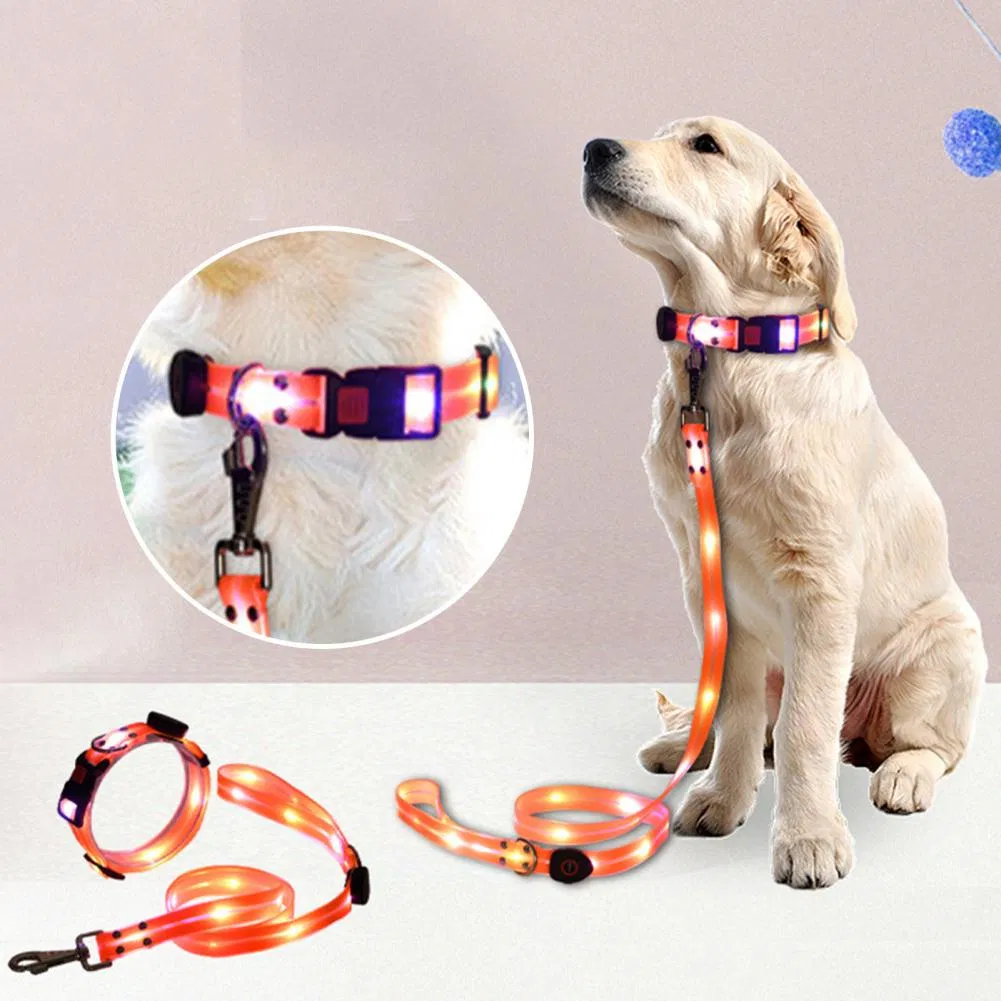 LED Pet Collar 3