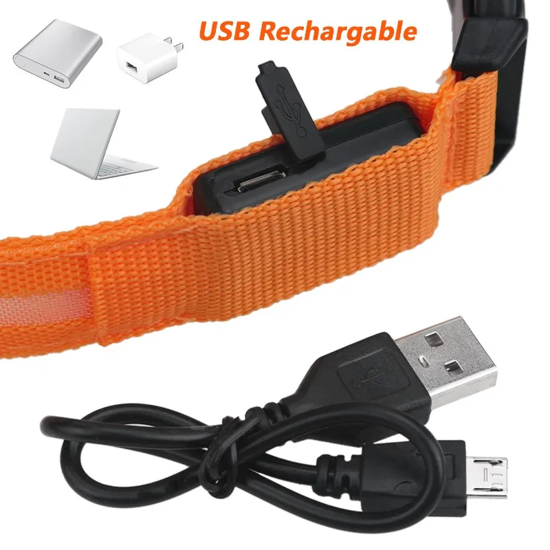 LED Dog Collar View 4