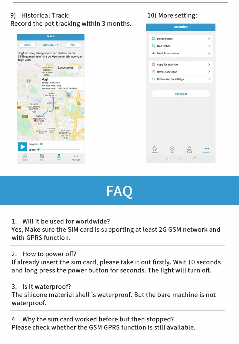 Mini Dogs Cats Activity Training Collar