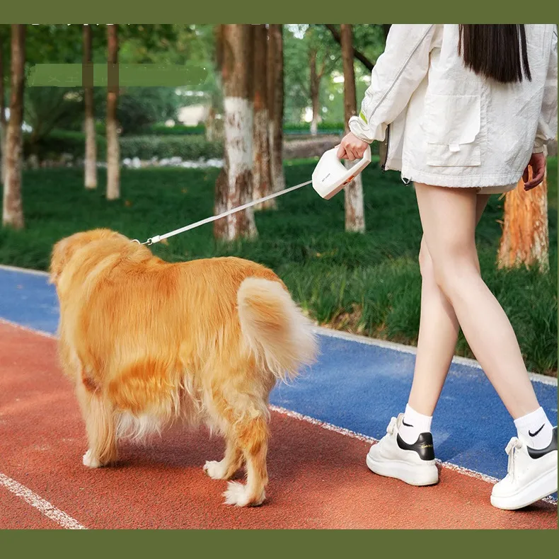 Automatic Retractable Dog Leash 2