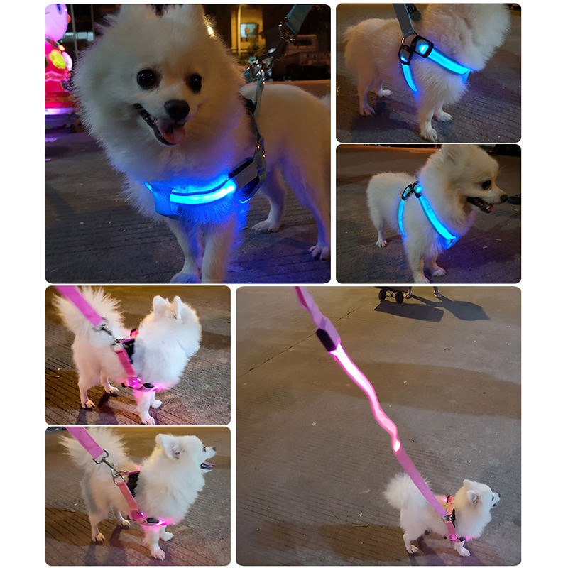 Durable Dog LED Flashing Leashes Dog LED Harness Adjustable Vest Chest Pet Dog Belt Night Walking Leashes