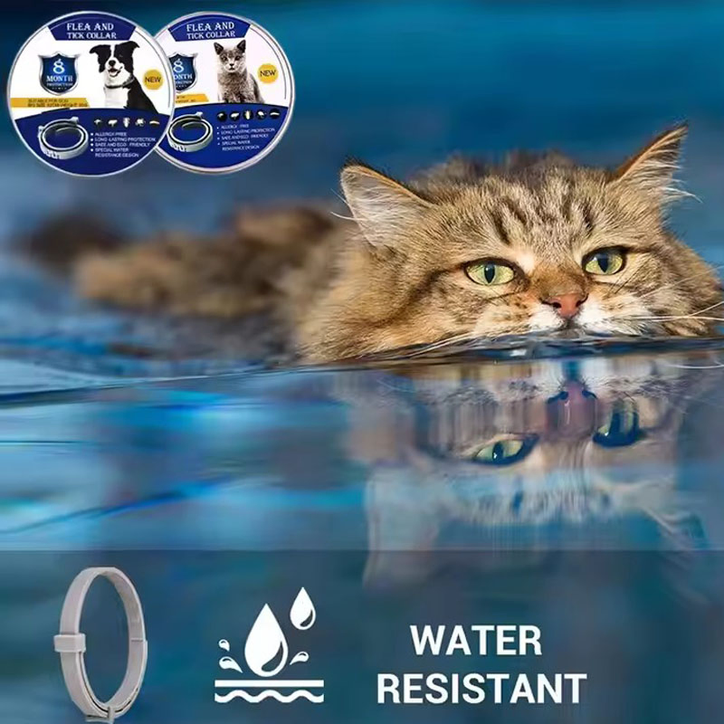 Natural Essential Oil Anti-Flea Mosquitoes Insect Repellent Waterproof Adjustable Pet Collar (CFPTS25001)